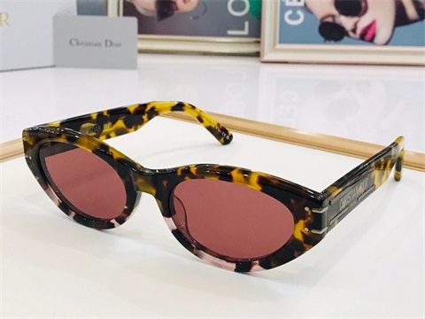 dior sunglass-179